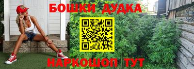 дмт Ачхой-Мартан