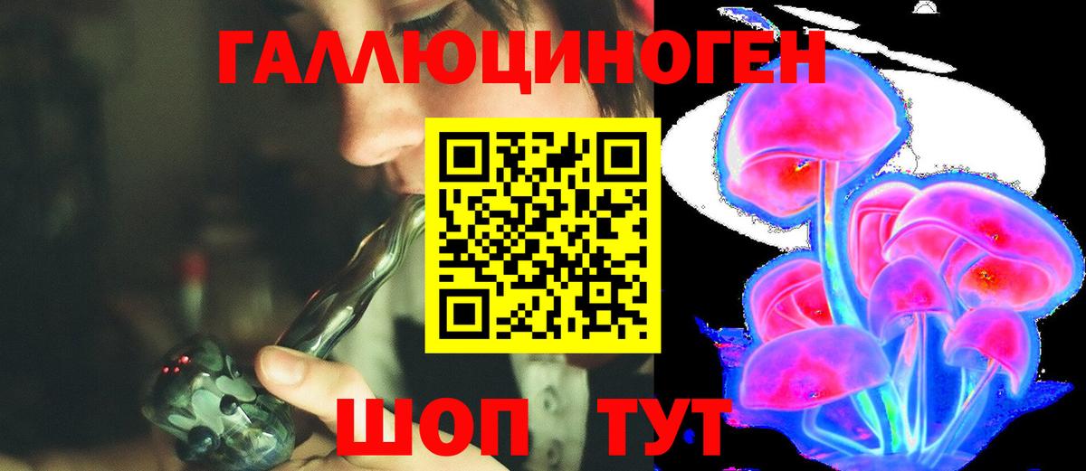 Галлюциногенные грибы GOLDEN TEACHER  Вход с VPN  Псилоцибиновые грибы Cubensis  Гудермес 